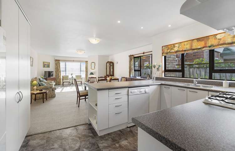 42 Devonshire Road Miramar_7