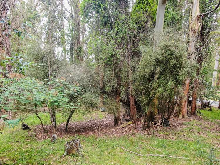 Lot 1 Georgetown-Pukeuri Road Peebles_9