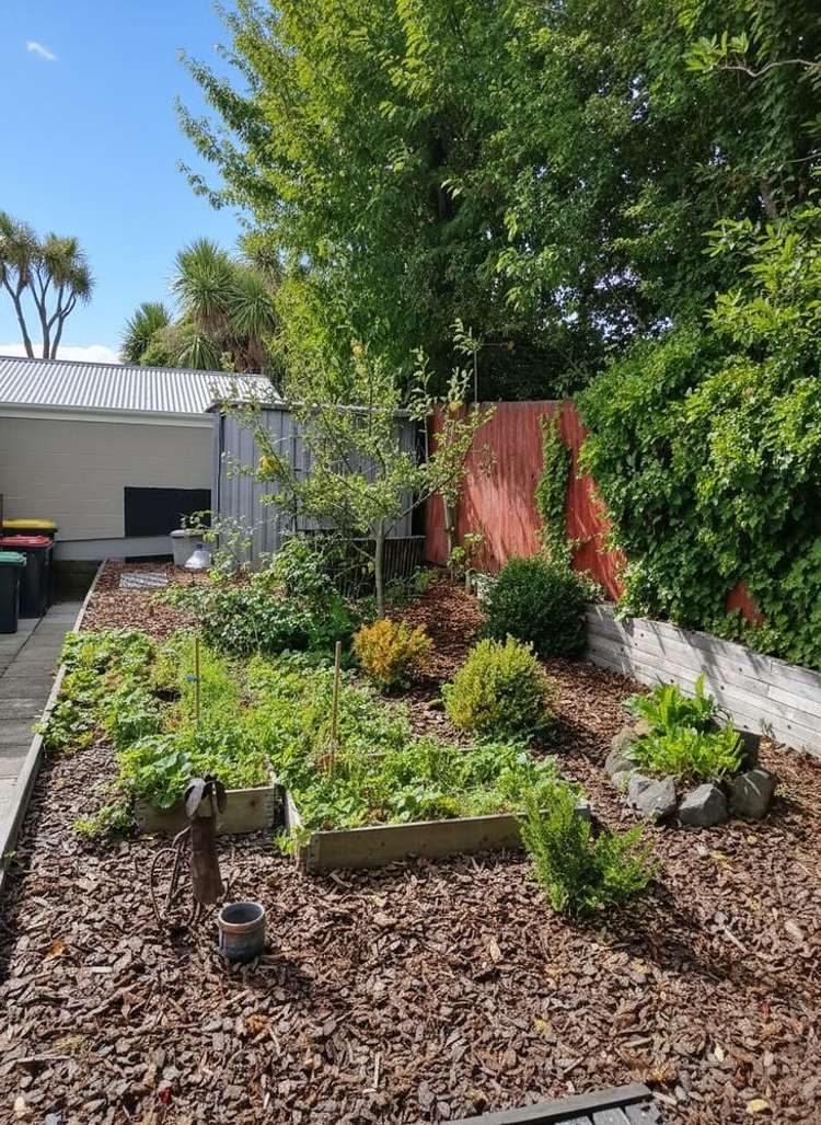 50A Palatine Terrace Saint Martins_19