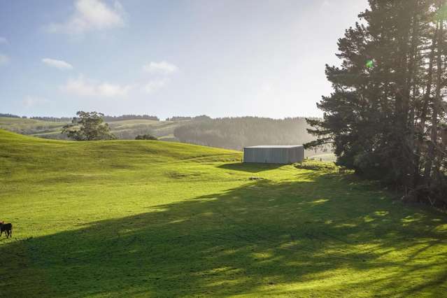 782 Glendhu Road Greta Valley_3