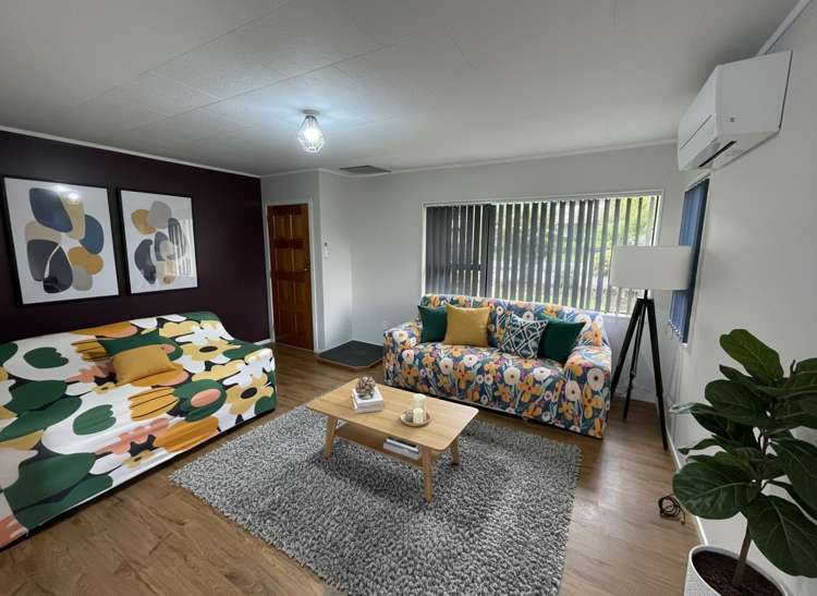 1 John Webster Place Glen Eden_2