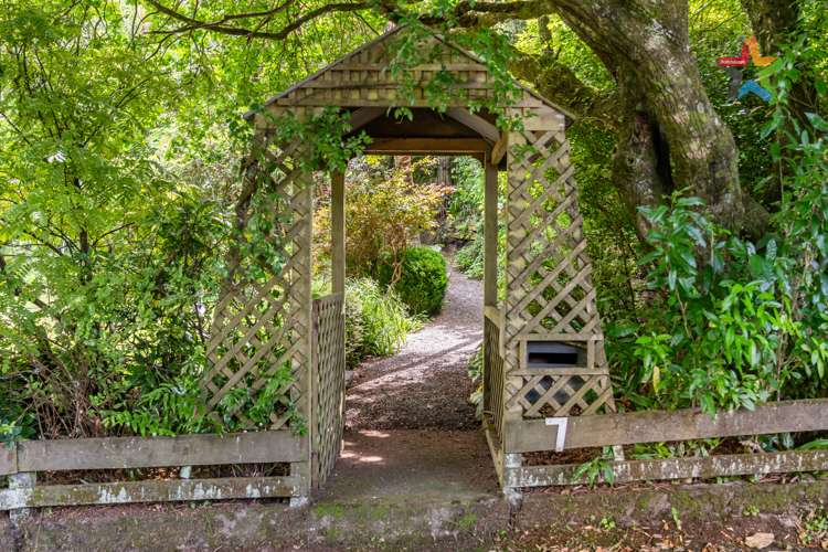 7 Palm Grove Belmont_19