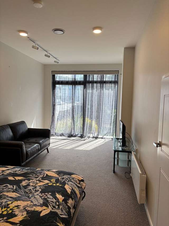 Spacious modern studio