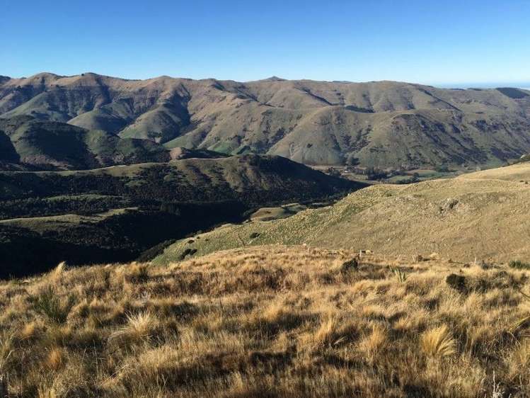 581a Mcqueens Valley Road Gebbies Valley_13