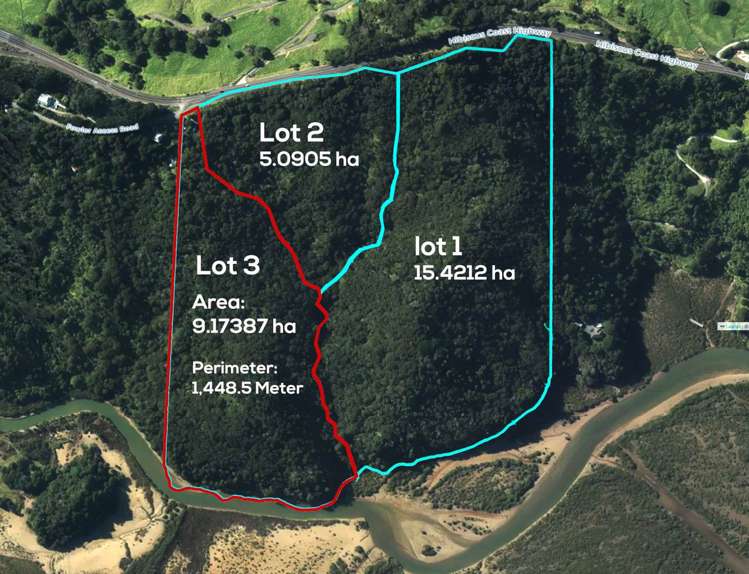 1329 Hibiscus Coast Highway_0