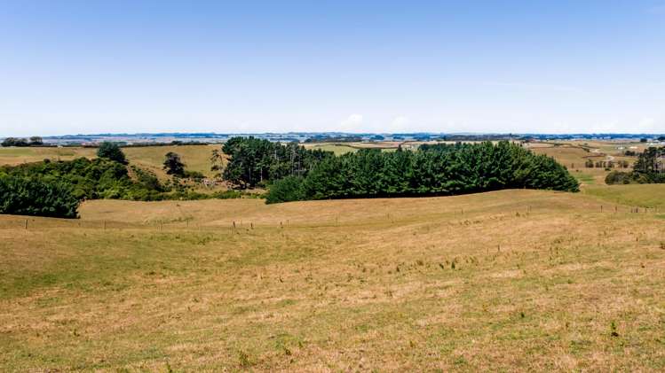 0n Douglas Street Sections Hawera_11