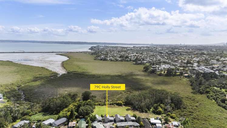 79c Holly Street Avondale_28