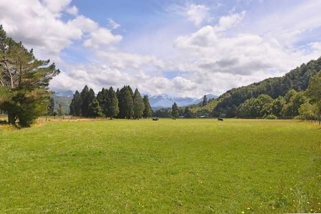 560 Shenandoah Highway Murchison_1