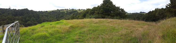 87 Kiwi Lane Kaiwaka_1