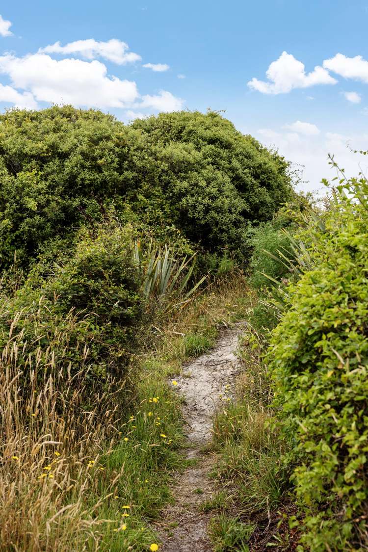 493 Brighton Road Westwood_38