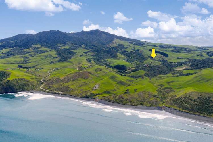 1597 Whaanga Road Raglan_13