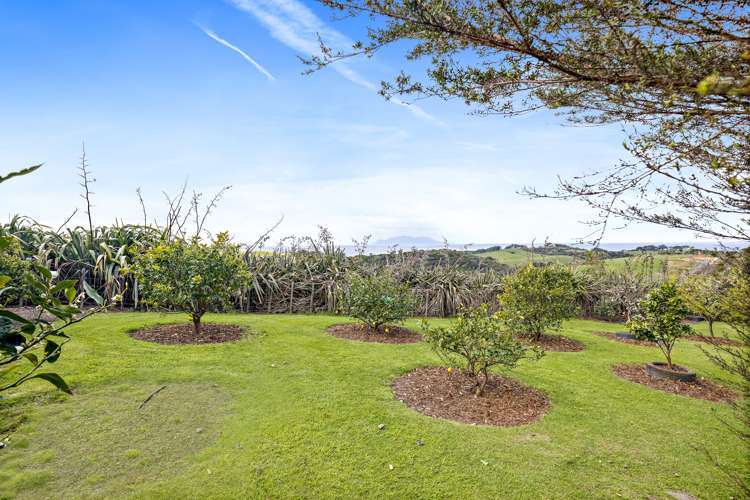 28 Matheson Bush Road Leigh_30