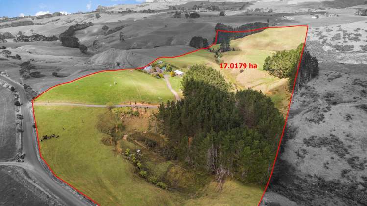 96 Hatton Road Awhitu_17