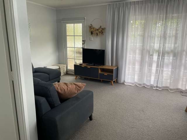 1/10 La Veta Avenue Mount Albert_3