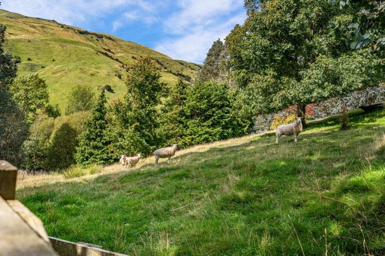 8 Shadbolts Road Pigeon Bay_37