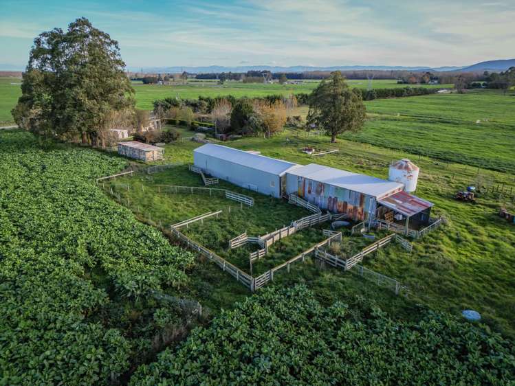 552 Taylor Road Geraldine_12