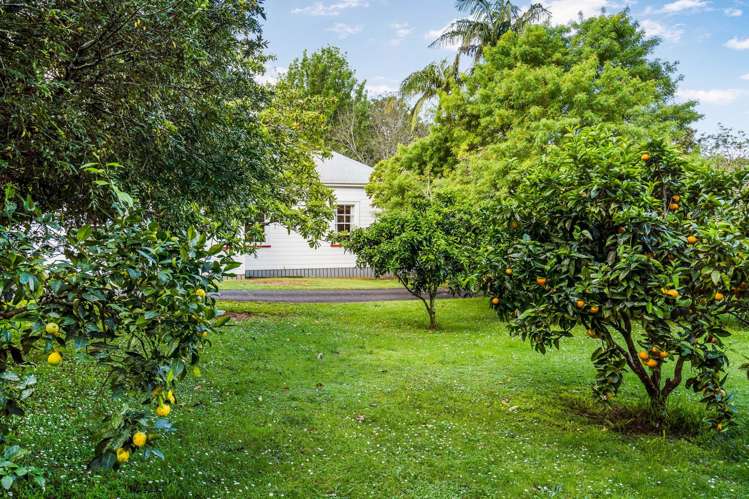 555 Ngunguru Road Glenbervie_12