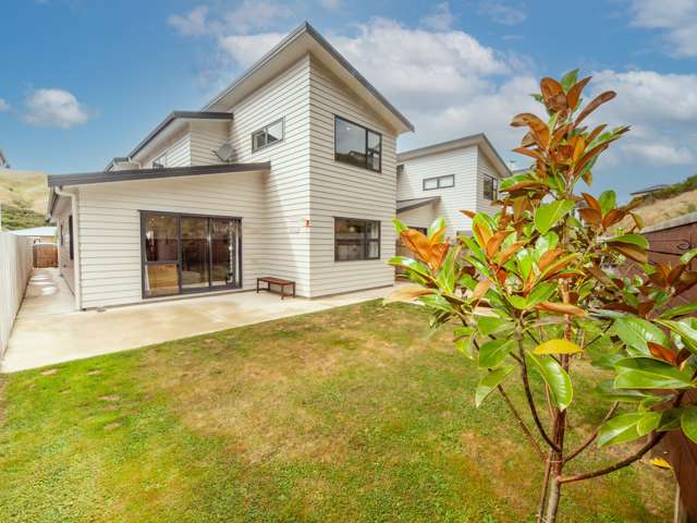 61 Melksham Drive Churton Park_1