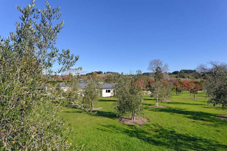 298 Aporo Road Tasman_16