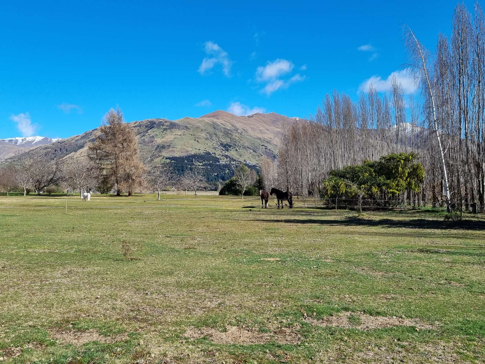2/152 Faulks Road Wanaka_0
