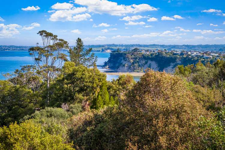 81 Roberts Road Matakatia_16