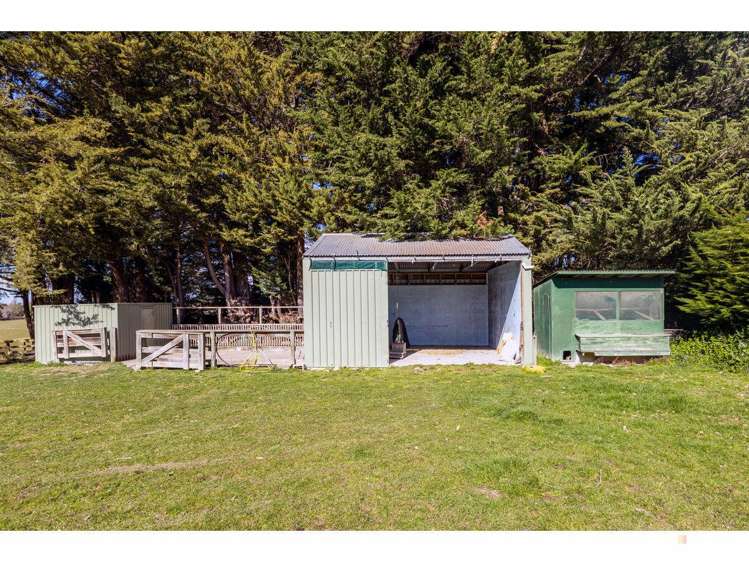 252 Downs Road Geraldine_32