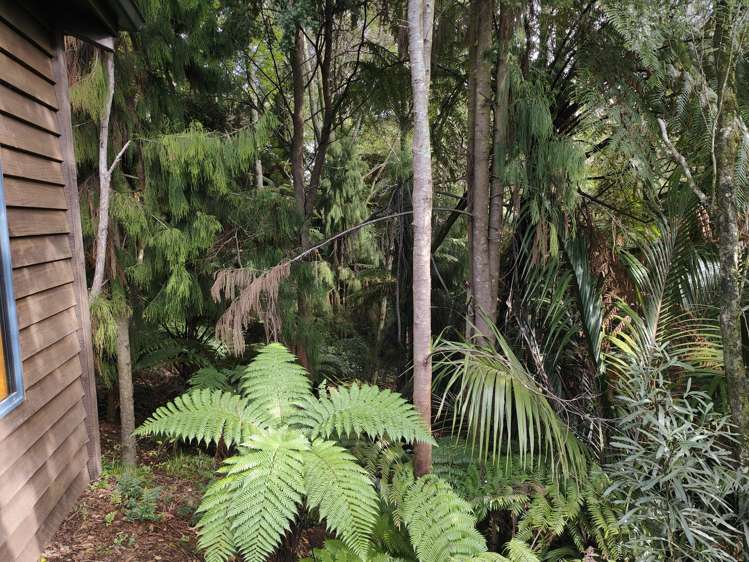 36 Buchanan Place Westbrook_26