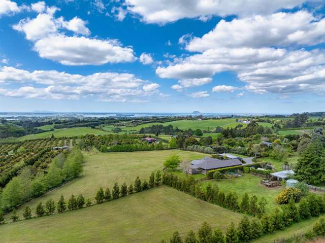 71C Laurel Drive Whakamarama_2