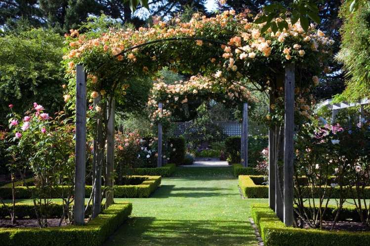 96 Boundary Road Ashley_23