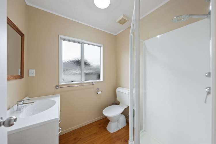 3 Poto Street Te Atatu South_20