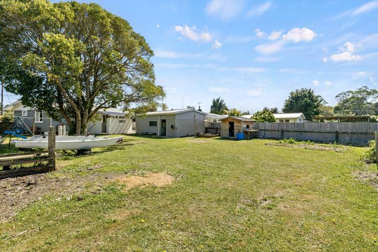 11 Flower Street Bulls_15