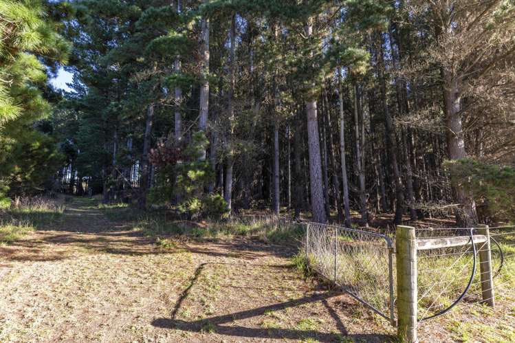 1499 Tram Road Swannanoa_29