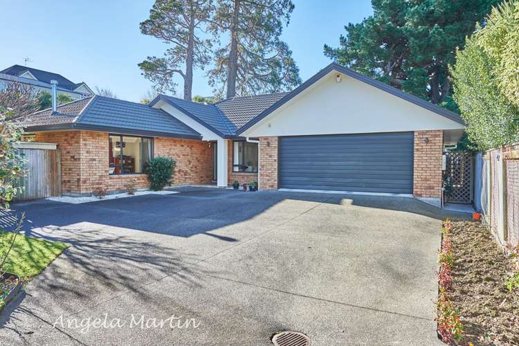 28a Rainforth Street Roslyn_0