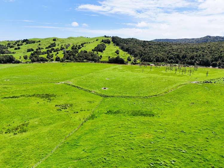 Lot 3 Pukehuia Road Arapohue_13