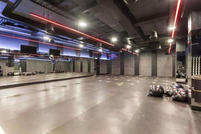 Lower Ground Floor/2 Princes Street Auckland Cbd_1