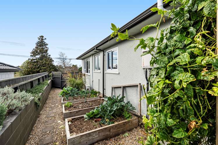228 Carrington Street Vogeltown_17