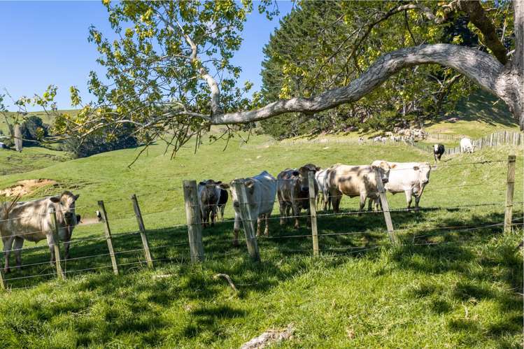 1698 Hetherington Road Huntly_13