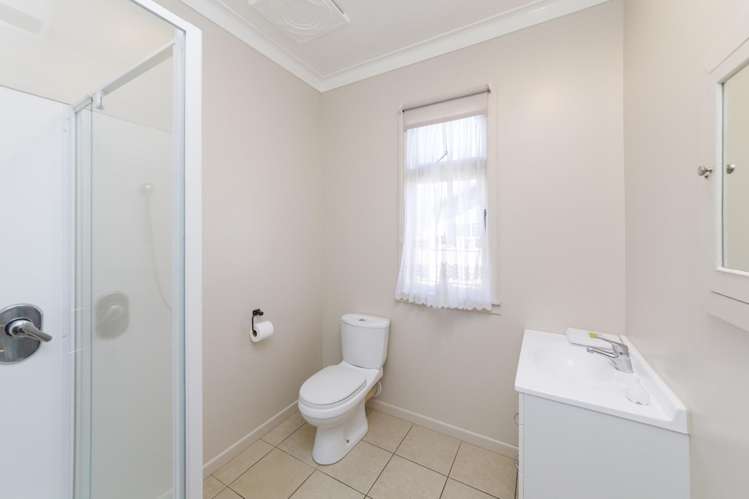 61 Ferguson Street Awapuni_12