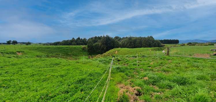 25 Ryland Park Levin_22