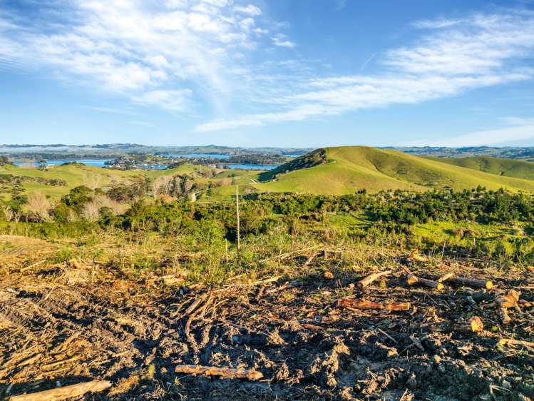 896 Whakapirau Road Maungaturoto_6