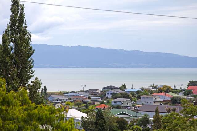 114 Regent Heights Thames_2