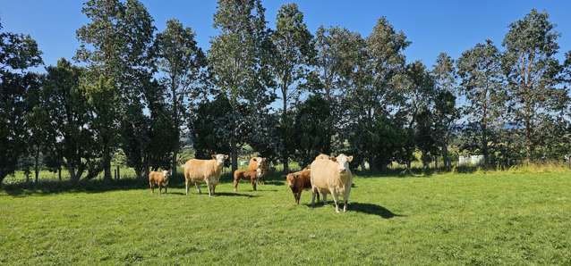 122 Middleton Road Waimahaka_1