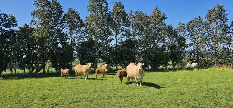 122 Middleton Road Waimahaka_1