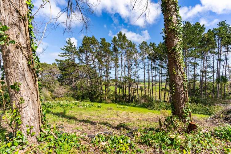 5A Pirika Street Dargaville_45