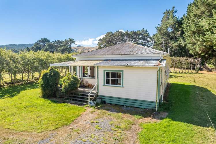 417c Grays Road Pauatahanui_31