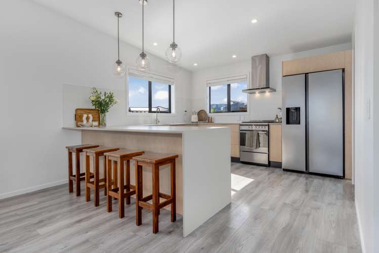 14 Ash Close Levin_2