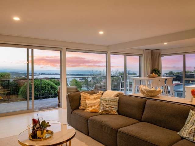 137 Soleares Avenue Mount Pleasant_3