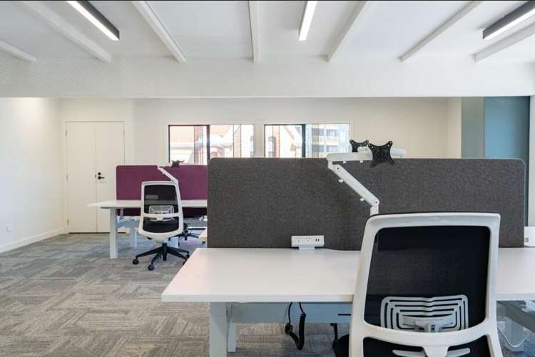 7 Rose Road Grey Lynn_7