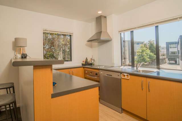 31 Sudbury Terrace Parnell_2