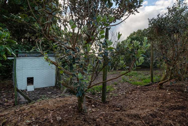 213 Ireland Road Waitoki_30